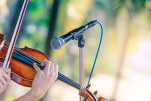 Live Entertainment for Family Cedarburg