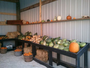 Fall Produce and Décor Near Milwaukee