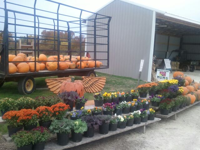 Seasonal Flowers For Sale Ozaukee County