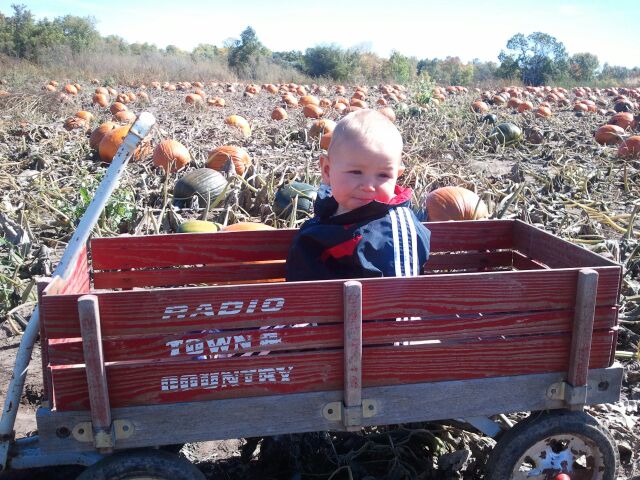 Wagon Rides at Cedarburg Farm