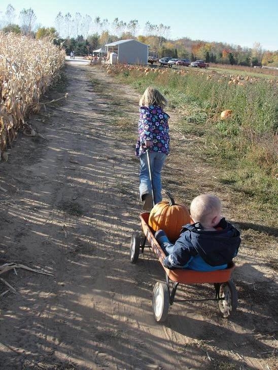 Wagon Rides in Ozaukee County