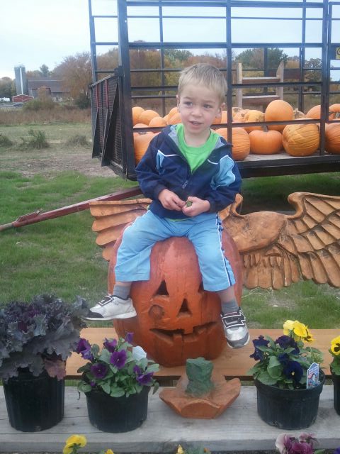 Fall Decorations for Sale Cedarburg