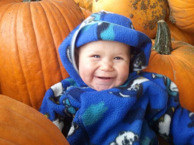 Ozaukee County Pumpkin Patch