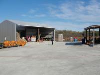 Pumpkin Patch in Cedarburg