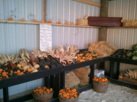 Cedarburg Store with Pumpkins For Sale