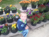 Ozaukee County Flowers for Sale