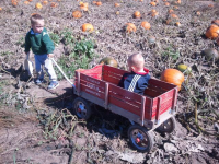 Jackson Kids Pulling Wagon in Pumpkin Patch